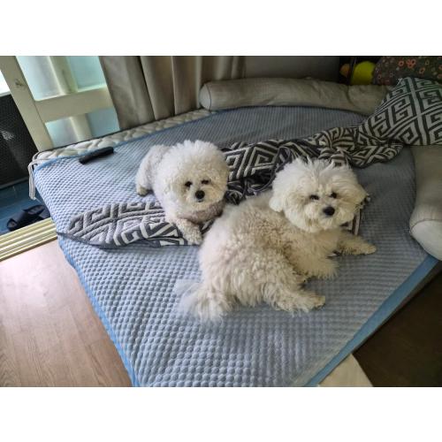 전용만