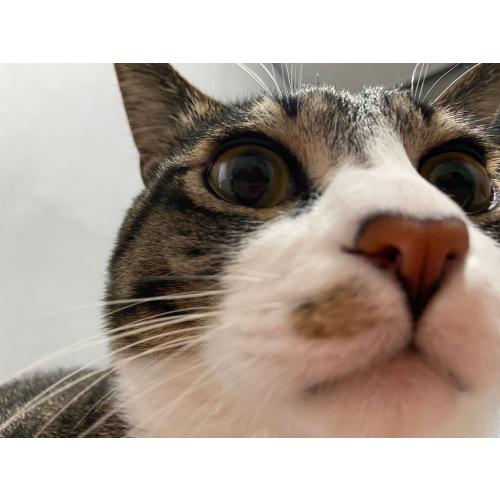 이수봉