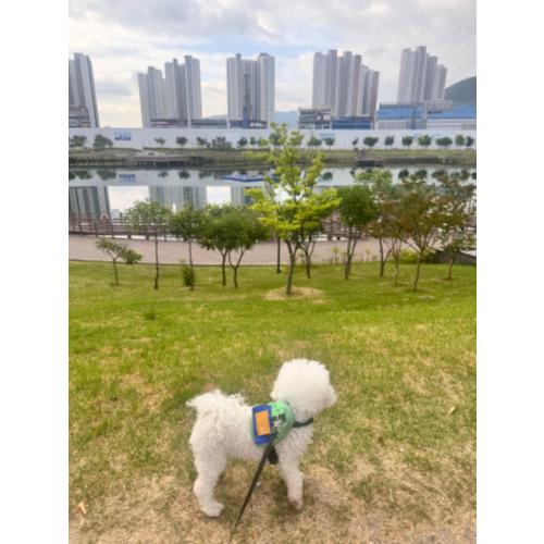 노영일